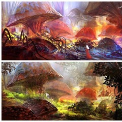 Languages of The Forrest Floor