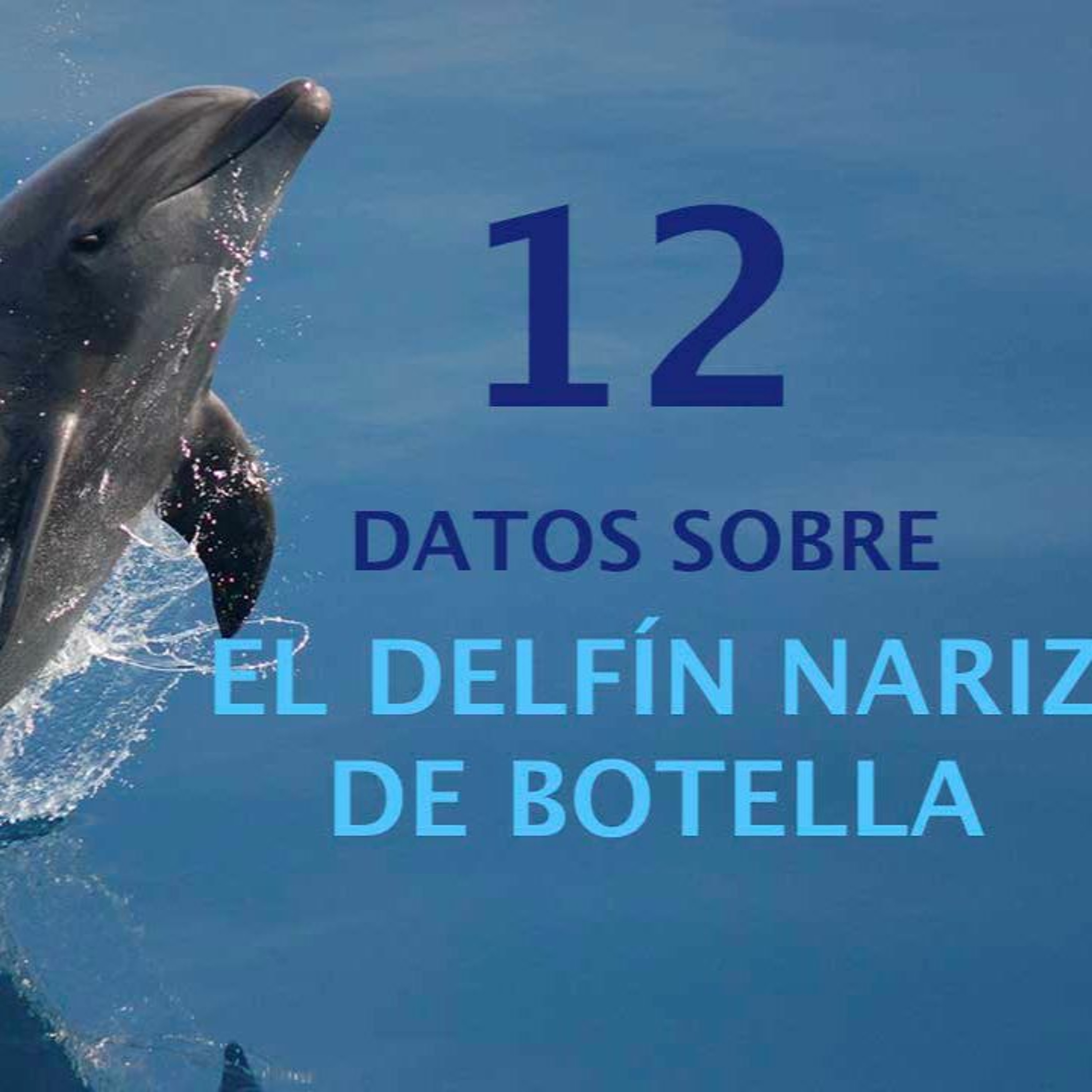 BioEnciclopedia