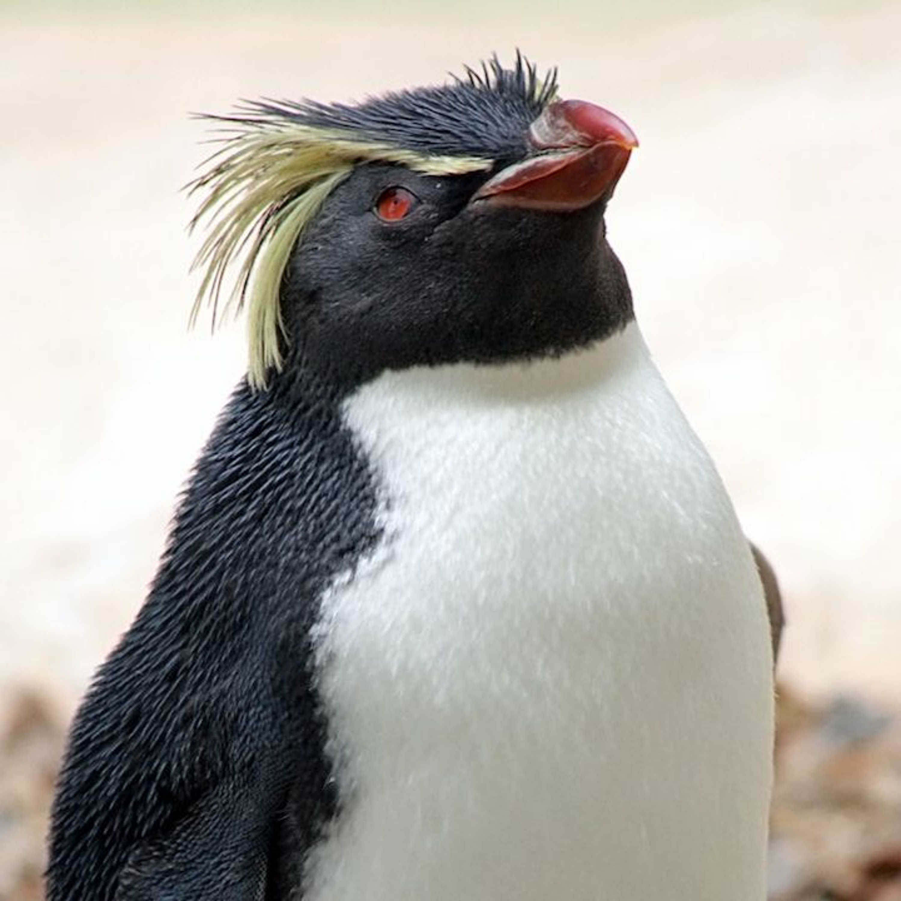 BioEnciclopedia
