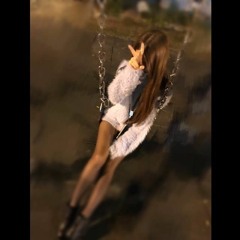 Fly - 2017歲時未佔