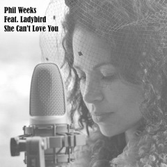 Phil Weeks Feat. Ladybird - She Can't Love You