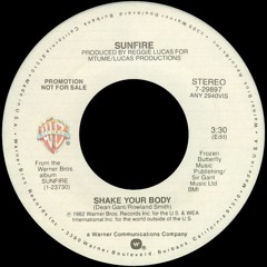 Shake Your Body (Edit)