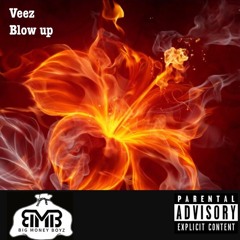 Veez- Blow Up