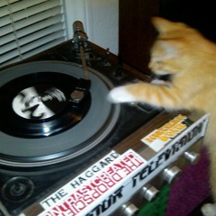 She Sees Me Instrumental Remix by Johnny Rk