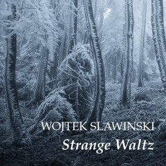 Wojtek Slawinski - Strange Waltz [Synaxis Music]