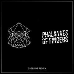 K.A.T.A - Signum (Phalanxes Of Fingers Remix)