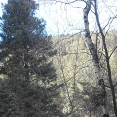 SoundsFromTheSacredTree-#3-AAnchor'sChopHop