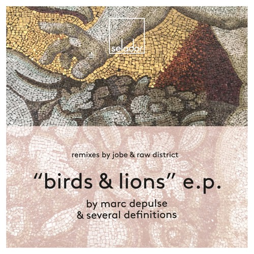 Several Definitions & Marc DePulse - Birds (JOBE Remix) **PREVIEW SNIPPET**