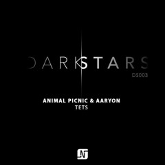 PREMIERE: Animal Picnic & Aaryon - Tets (Original Mix) [Noir Music]