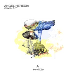 DLR402 : Angel Heredia - Canalla (Original Mix)