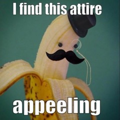 A Half an Hour of Puns