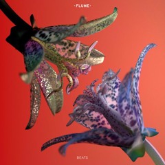 Flume - Beats (ID #3; Essential Mix 03/10/15)