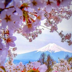 𝓭 𝓪 𝔂   𝓭 𝓻 𝓮 𝓪 𝓶 𝓲 𝓷 𝓰