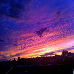 Congratulations - MGMT