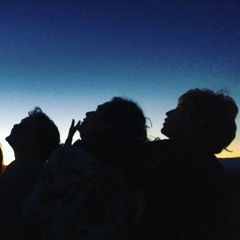 Wizard and the Sorceress