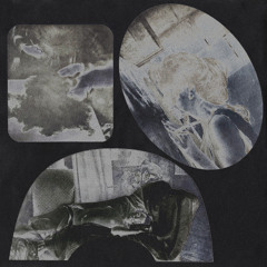 72 ◆ Hassan Rahim
