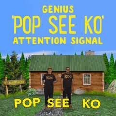 Pop See Ko - Koo Koo Kanga Roo