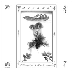 A r c a d e - Cotton Buds