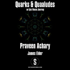 Quarks & Quaaludes - Praveen Achary Feb Guest Mix