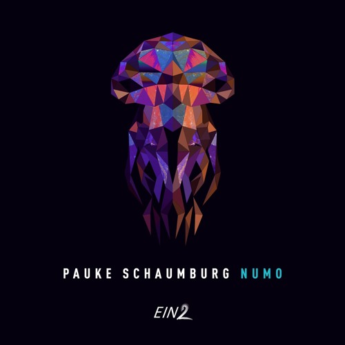 Pauke Schaumburg - Numo