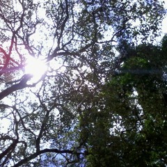 De las más bellas - Ensayo Minas da Voz (Das Mais Belas)