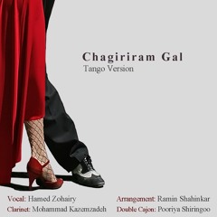 Chagiriram Gal(Tango Cover)