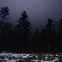 A world of void ~ lil peep x horse head type beat