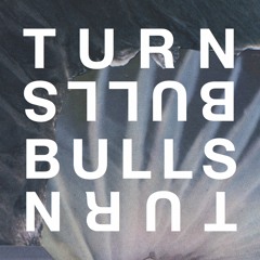 Turnbulls - Voice of a Friend (LIN/LOG Remix)