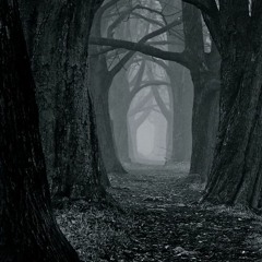 C - Lance - Forget The Demons