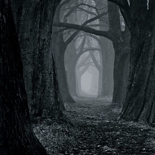 C - Lance - Forget The Demons