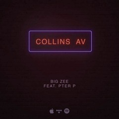 Collins Av ft Pter P (Prod. by SHIN & Brian White)