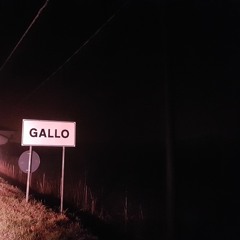 Gallo - Balearic G3
