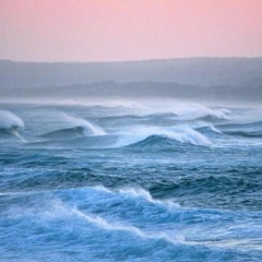 WhiteCAPS