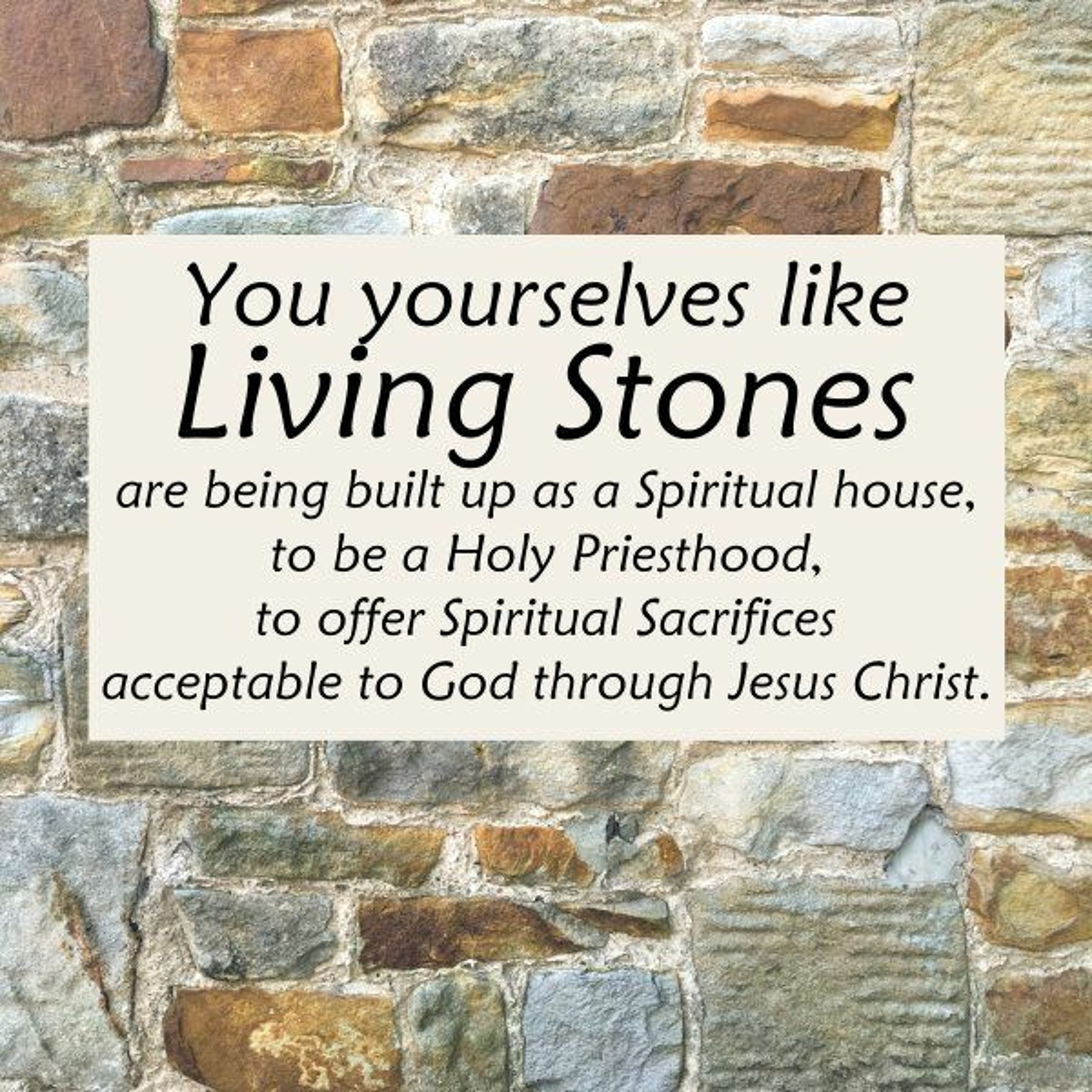 Sermon 02-26-17 " Though You Have Not Seen Him, You Love Him"