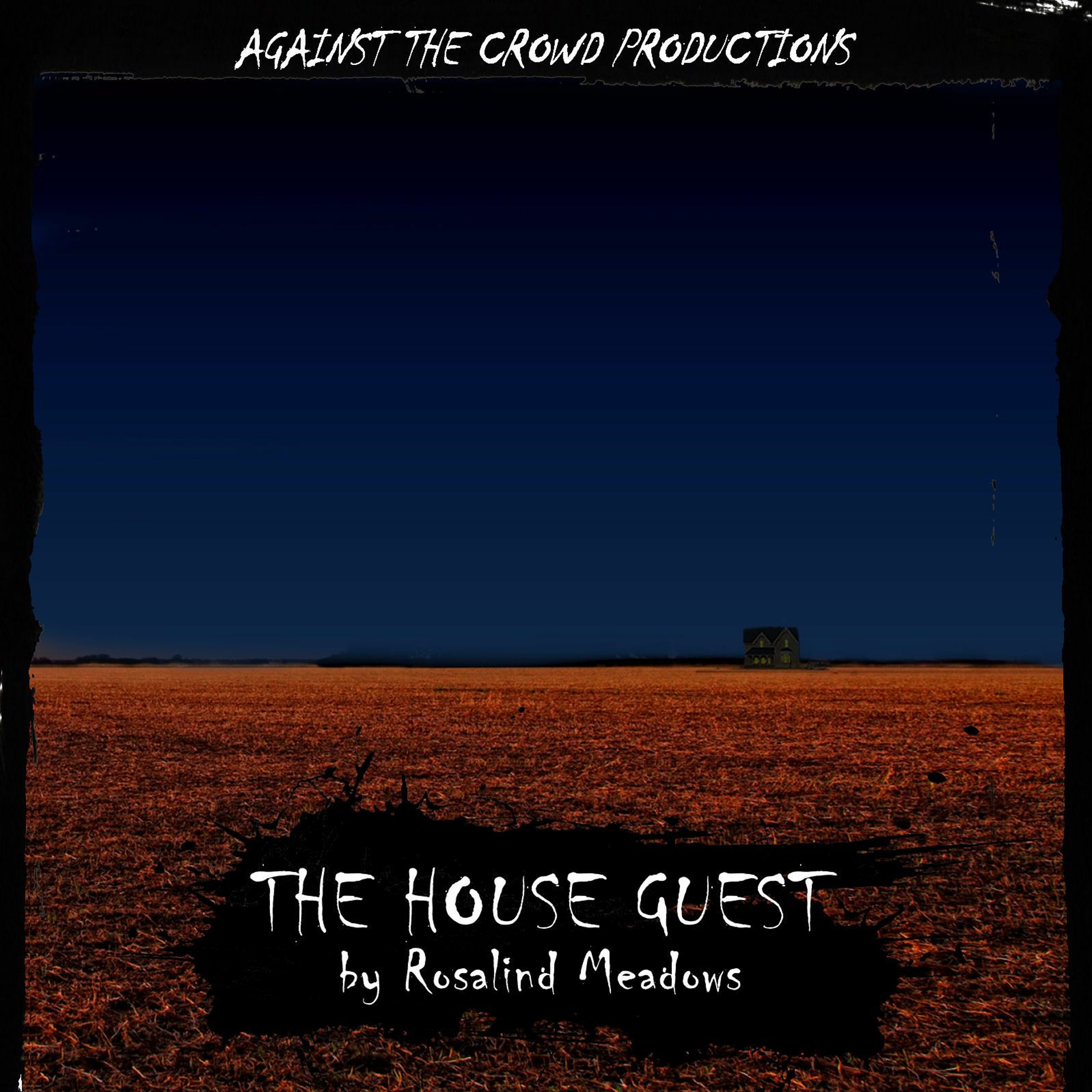 The House Guest By Rosalind Meadows