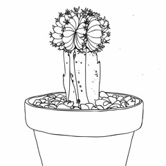 Mandarinas y amapolas - Fer Kronchyman y Tatiana Medina