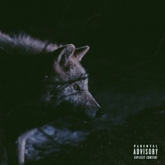 FAKES - akathelonewolf (Prod. tenbxnd)