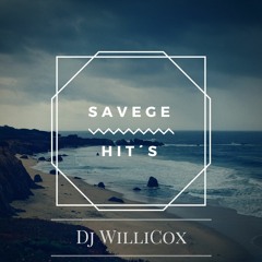 SAVAGE HIT´S - Dj WilliCox - 2k17