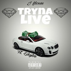 J Flows - Tryna Live Ft. Likybo
