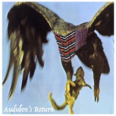 Audubon's Return [Instrumental]