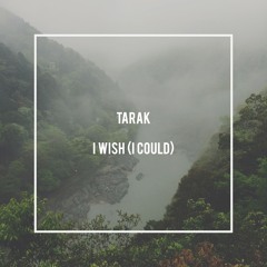I Wish (I Could)