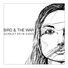 Stone Heart Acoustic (2013)