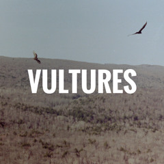 Vultures (prod. bloom)