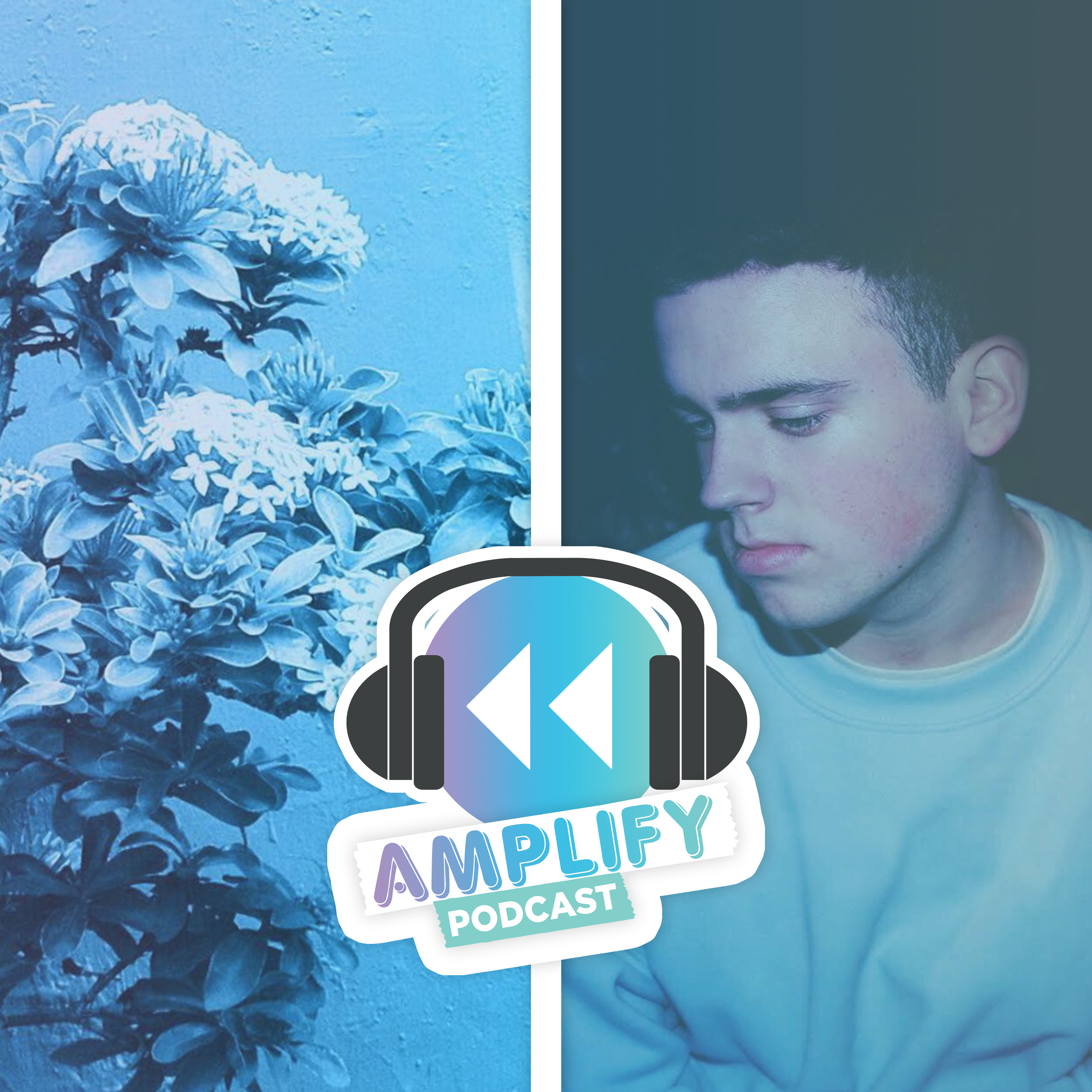 The Amplify Podcast