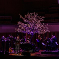 Rufus Wainwright - Bitter Tears (Hernan Lagos Remix)