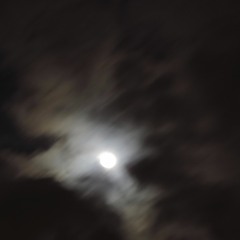 Ephemeral - Sophie's Song