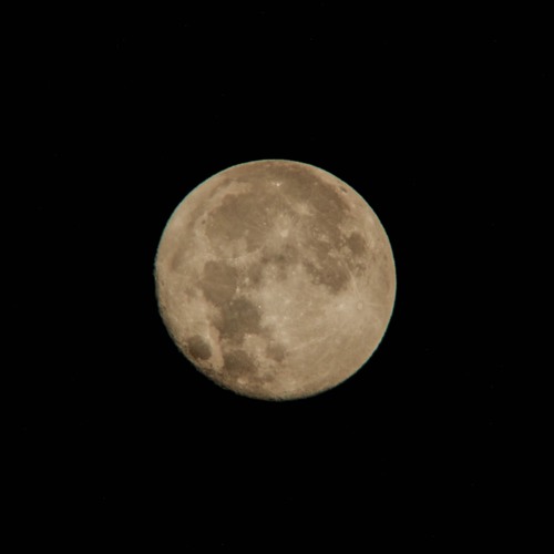 Stream Animals Maroon 5 ('Acoustic' Cover) by Cuauhtémoc Escobar