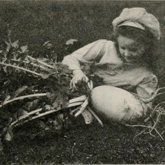 the world's only vegetable