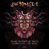Shpongle - Divine Moments Of Truth (Astrix, Loud & L.S.D Remix) Shpongle - Divine Moments Of Truth (Astrix, Loud & L.S.D Remix)