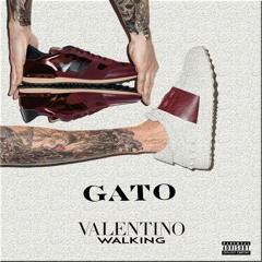 Gato Delgado - Valentino Walking